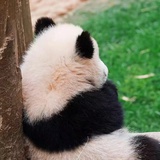 豆友FnmaDEfpt4