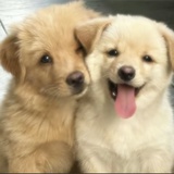 十三小登妈警告