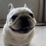 可恶！