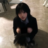 椰岛