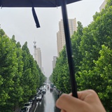 橙橙