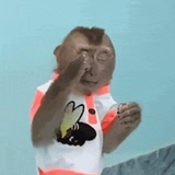 你说什么都行