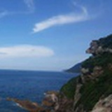 散尽热情