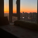 一条呛水的鱼