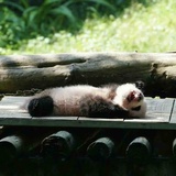 就是真的