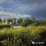 别格式化