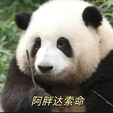 苹果派派