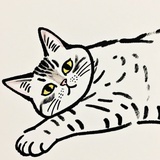 林猫猫