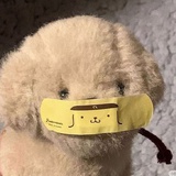 小鱼休眠