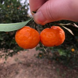 豆友X_qvFiEO4A
