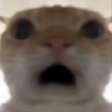 xixi