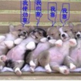 纯表情