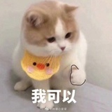 草莓一番位