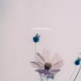 ♥h! Ms-fish