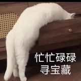 猫露露