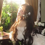 一片小叶子.
