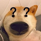 二十九画生