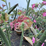 小王讲装修