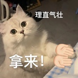 拿来主义作者