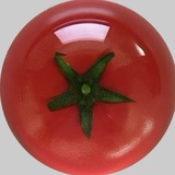 无趣的番茄🍅