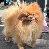 什么是快乐星球
