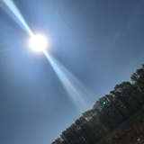 豆友6202905481