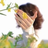 小苏睡不着丶