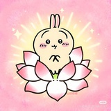 帅到没朋友