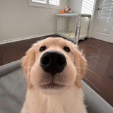 oioi
