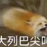 雪尾