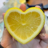 甜橙同学