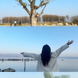 不会织毛线