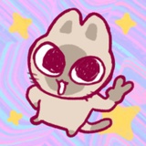 巧克猫