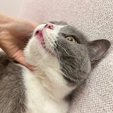 哪有热闹往哪靠