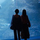 奇怪的吟遊詩人