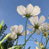 起个响亮的名号