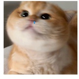 迷迷糊糊