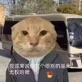 想成为迪哥