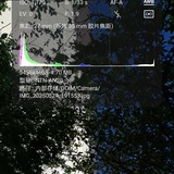迟远