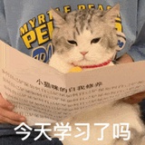 下一周