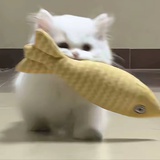 豆友7730552682