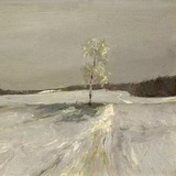 爱看书的幻想家