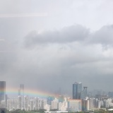海棠森森