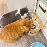 豆友xLOYY4zCWM