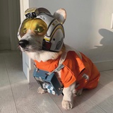 DE