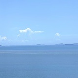 爱情浪漫788
