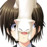 N.已经掷出骰子