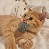 小鱼小鱼快快游