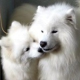 筱筱