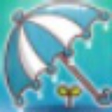 疯人愿